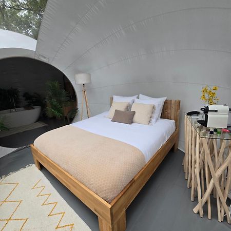 La Bulle Perchee De Chantilly Gouvieux Zewnętrze zdjęcie